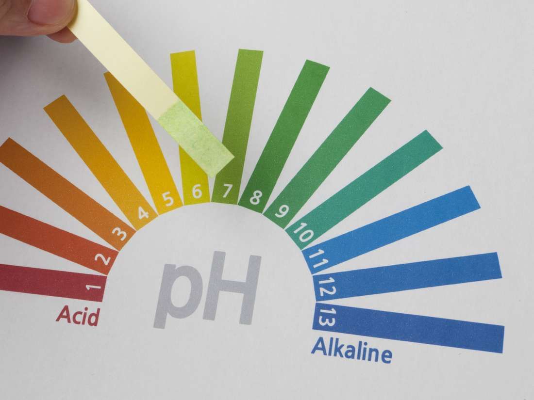 Asitler ve Alkaliler - Stok Gözetim Hizmetleri