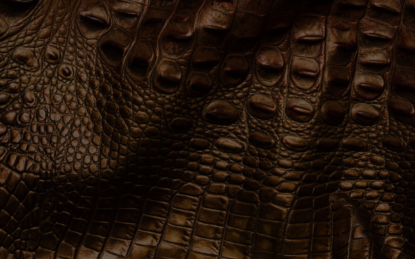 Crocodile Leather